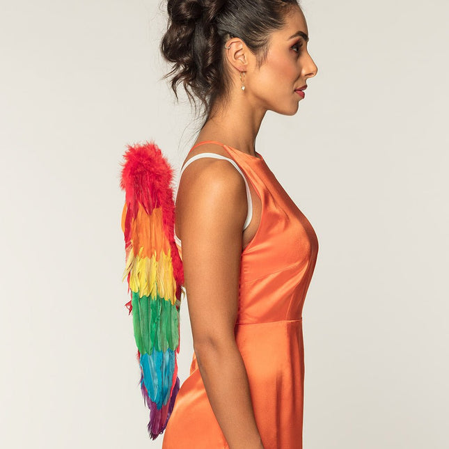 Engelen Vleugels Regenboog 50cm van Boland koop je bij Partywinkel