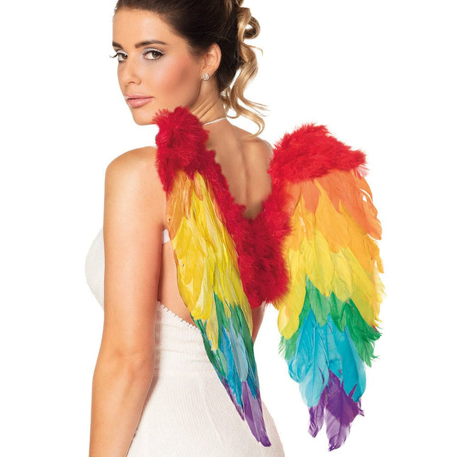 Engelen Vleugels Regenboog 50cm van Boland koop je bij Partywinkel