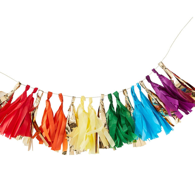 Ghirlanda di nappe arcobaleno da 1,5 m
