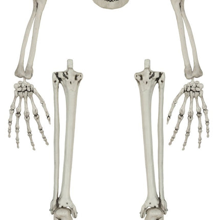 Halloween Skelet Botten 5 delig van Fiestas Guirca koop je bij Partywinkel