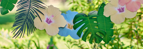 Breng de tropen naar huis met de perfecte Hawaii versiering voor jouw themafeest