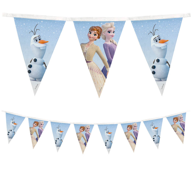 Frozen Ii Spirito del Vento Bandiera riutilizzabile 1St