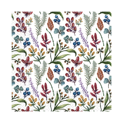 Tovaglioli colorati Erbe 25cm 20pz