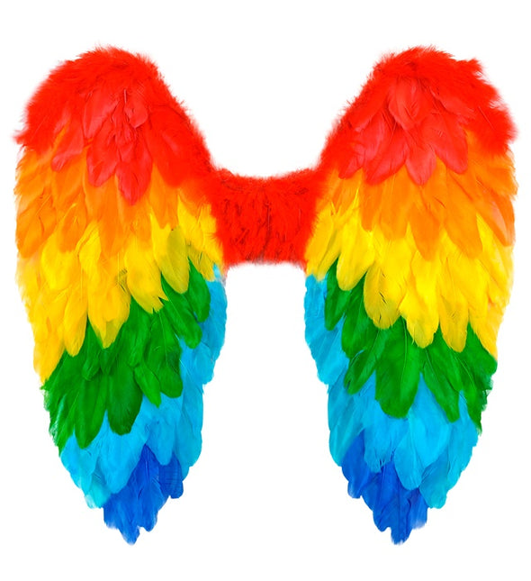 ALI DI PIUMA ARCOBALENO PIEGHEVOLE 50 X 50 CM