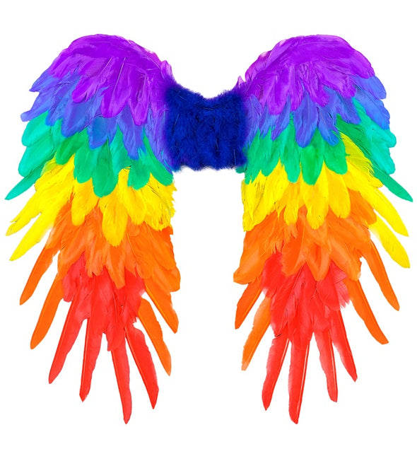 ALI DI PIUMA ARCOBALENO PIEGHEVOLE 50 X 50 CM