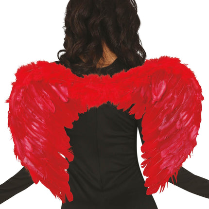 Piume di Red Wings 60x45cm