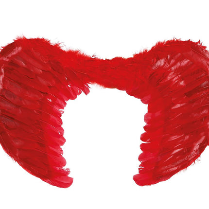 Piume di Red Wings 60x45cm