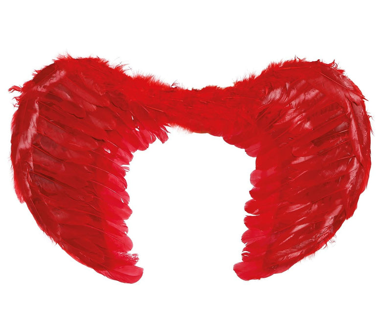 Piume di Red Wings 60x45cm
