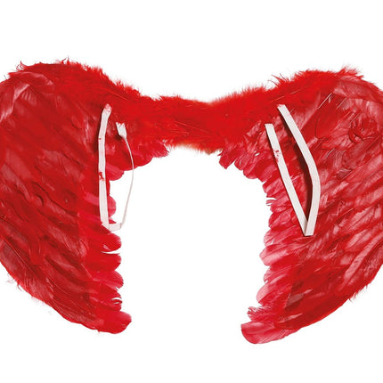 Piume di Red Wings 60x45cm