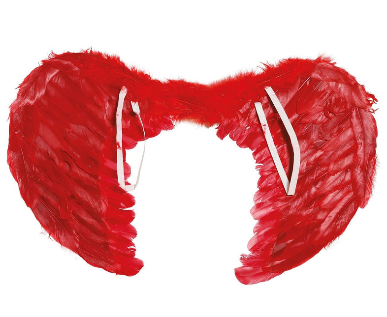 Piume di Red Wings 60x45cm
