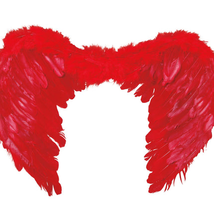 Piume di Red Wings 60x45cm