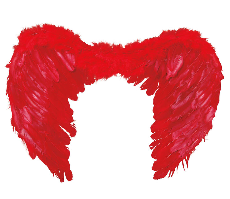 Piume di Red Wings 60x45cm