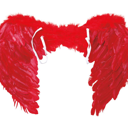 Piume di Red Wings 60x45cm