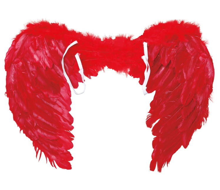 Piume di Red Wings 60x45cm