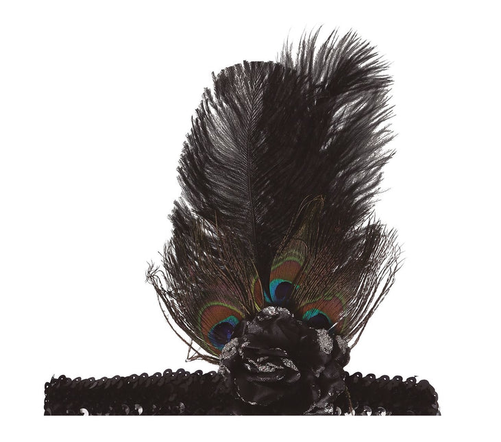 Piume di fascia nera