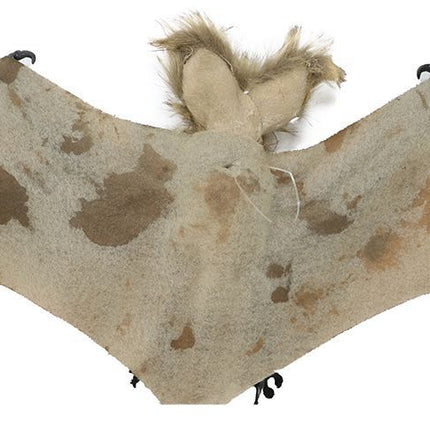 Pipistrello di Halloween 60 cm