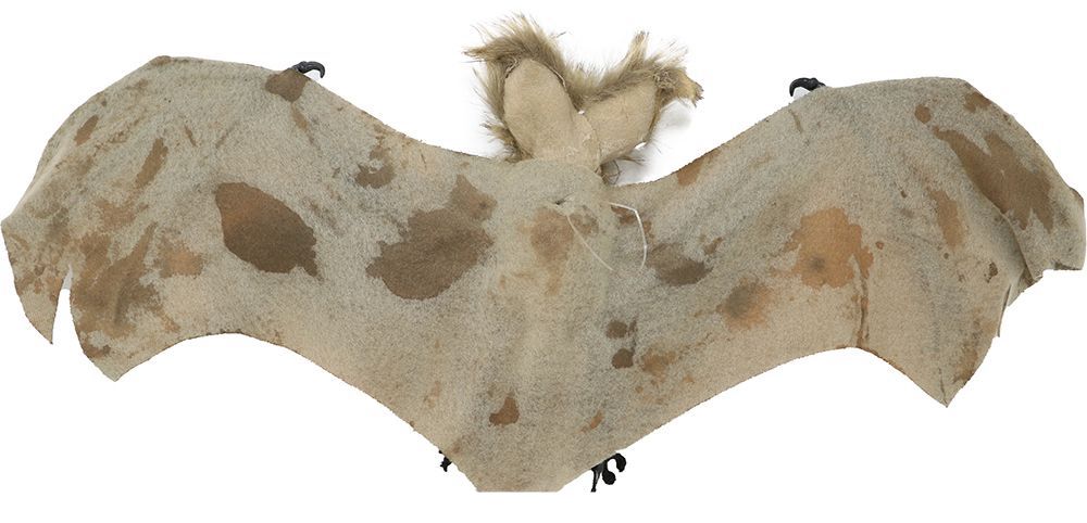 Pipistrello di Halloween 60 cm