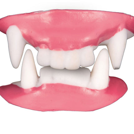 Denti finti di Halloween Vampiro