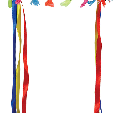 Pennacchio di piume multicolore