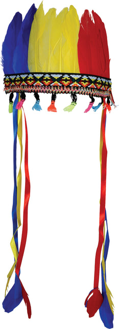 Pennacchio di piume multicolore