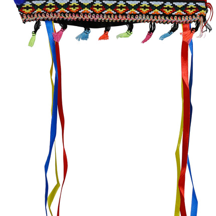 Pennacchio di piume multicolore