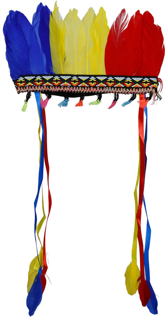 Pennacchio di piume multicolore