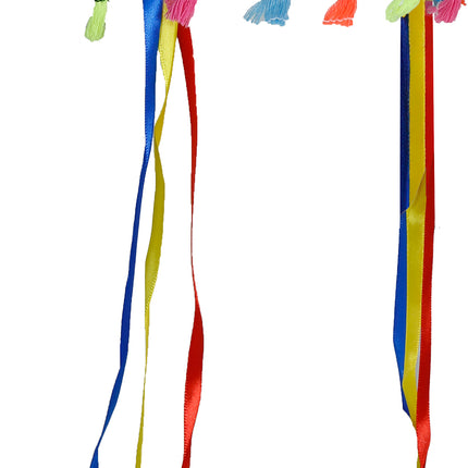 Pennacchio di piume multicolore