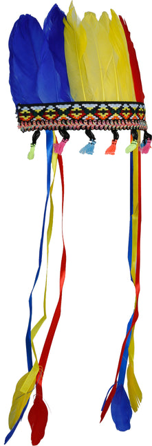 Pennacchio di piume multicolore