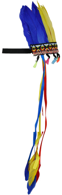 Pennacchio di piume multicolore