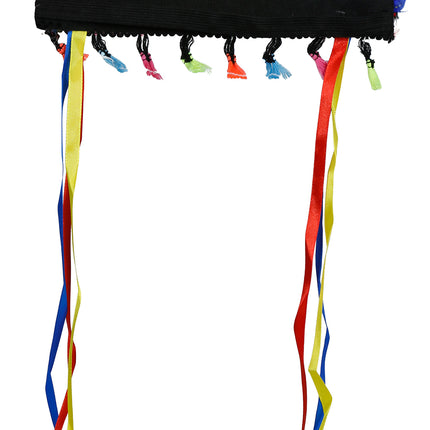 Pennacchio di piume multicolore