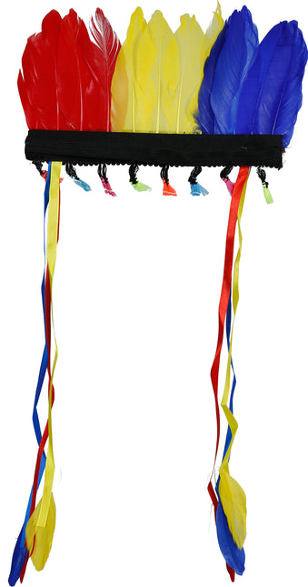 Pennacchio di piume multicolore