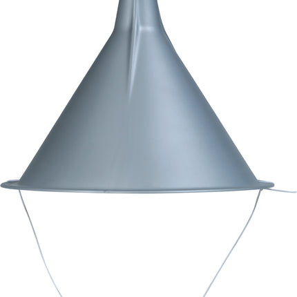 Imbuto con cappello d'argento