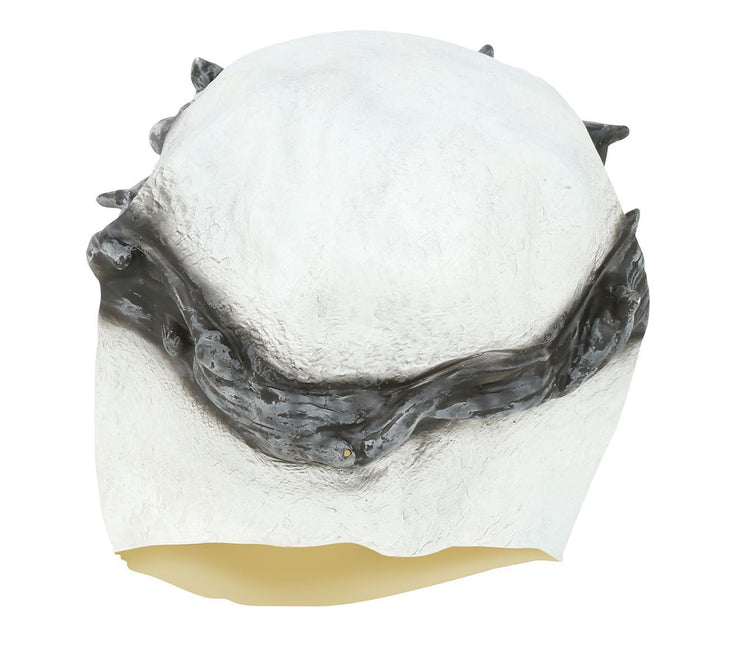 Maschera Halloween Scheletro