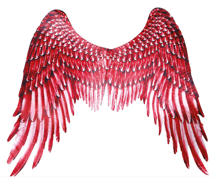 Ali rosse 105x45cm