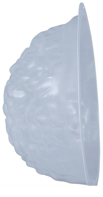 Stampo Halloween Cervello per Gelatina 22cm