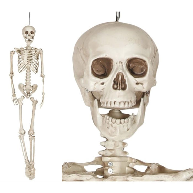 Scheletro di Halloween 1,6 m