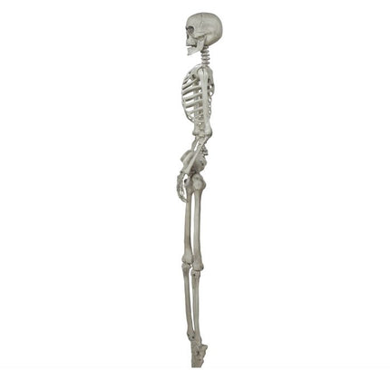 Scheletro di Halloween 1,6 m