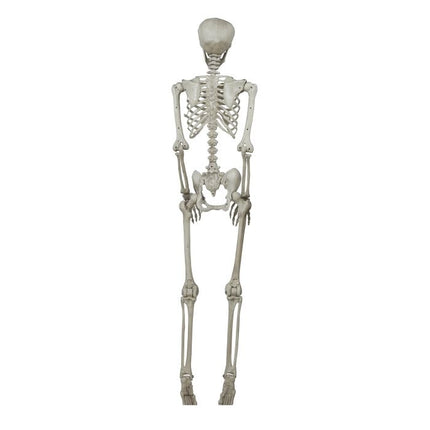 Scheletro di Halloween 1,6 m