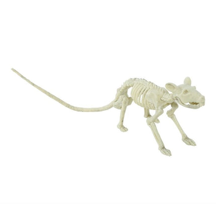 Scheletro di topo di Halloween 20 cm