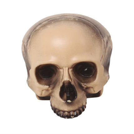 Mezzo teschio di Halloween da 20 cm