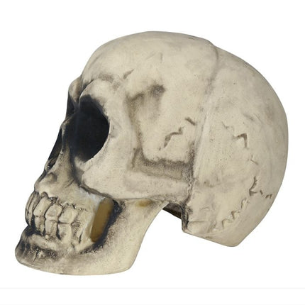 Teschio di Halloween 32 cm