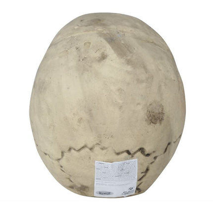Teschio di Halloween 32 cm