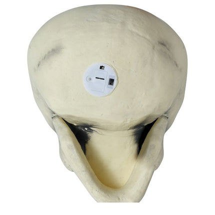 Teschio di Halloween 32 cm