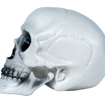 Teschio di Halloween grigio 20 cm