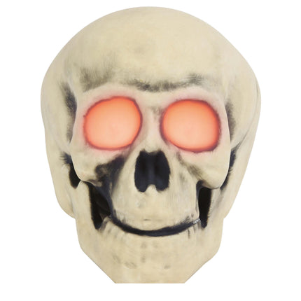 Teschio di Halloween a Led 30cm