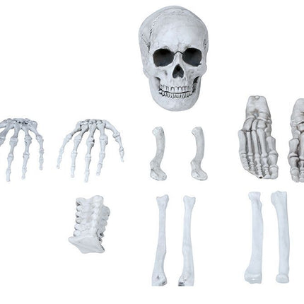 Scheletro di Halloween