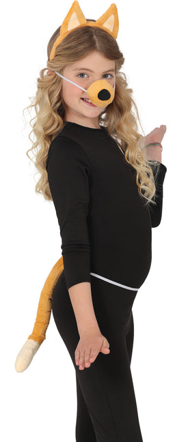 Set di costumi per cani marrone 3 pezzi