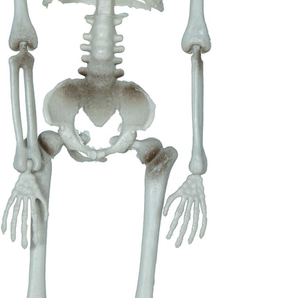 Decorazione di Halloween appesa Scheletro con ascia 40 cm