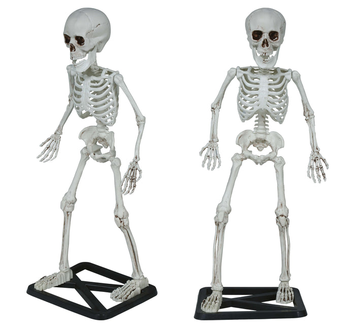Scheletro di Halloween 55 cm