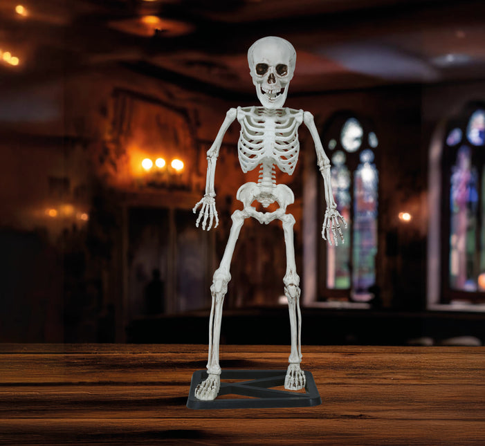 Scheletro di Halloween 55 cm